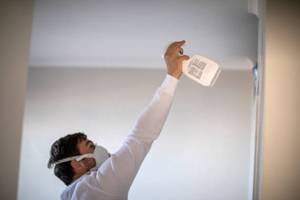 Best Mold Damage Repair  in Commack, NY